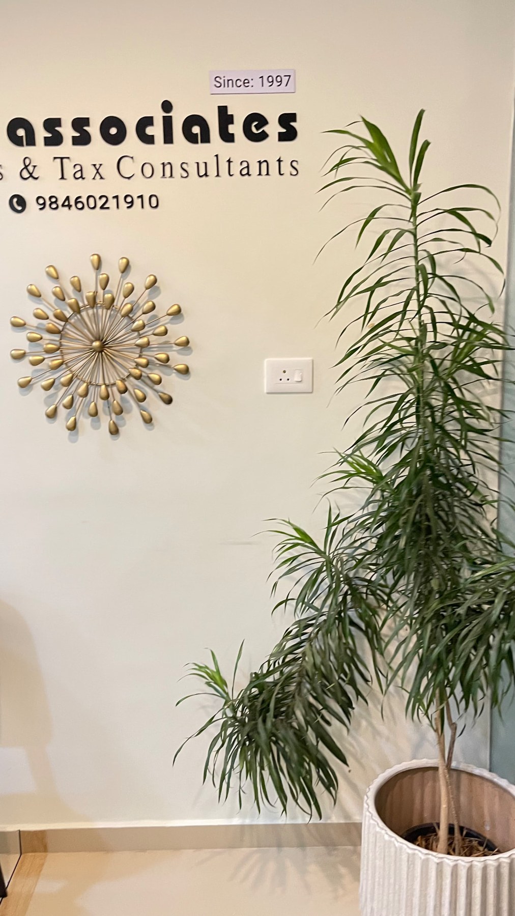 Branding Wall — Nath Associates office